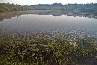 Ruta: Lagoa de Sobrado